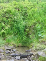 IMG_6600.webp