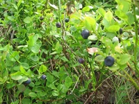 IMG_6608.webp