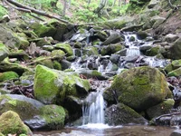 IMG_6712.webp
