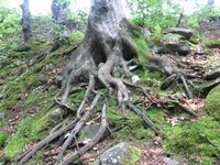 IMG_6715.webp