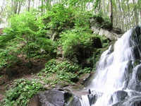 IMG_6756.webp