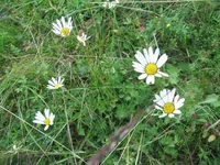 IMG_6800.webp