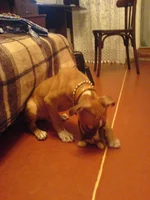 DSC00216.webp