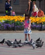  и голуби.webp
