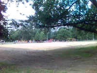 (51).webp