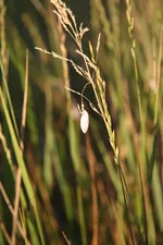 IMG_2781_1.webp