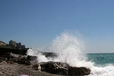 IMG_3194_1.webp