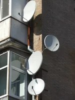 DSCF0695.webp