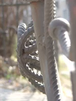 DSCF0850.webp