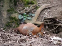 DSCF0977.webp