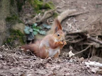 DSCF0978.JPG
