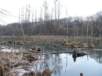 DSCF0983.webp