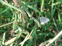 DSCF2068.webp