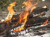 DSCF2101.webp