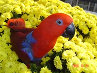 DSC09154.webp