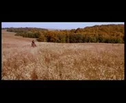  летающих кинжалов (1).0-42-22.390.webp