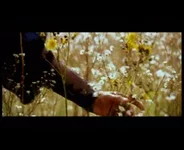  летающих кинжалов (1).0-42-44.871.webp