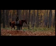  летающих кинжалов (2).0-00-53.262.webp