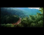  летающих кинжалов (2).0-01-30.337.webp