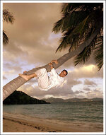Gary_Palm_Tree_copy_Colour.jpg