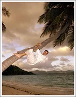 Gary_Palm_Tree_copy_Colour.webp
