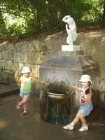  размера P1010005.webp