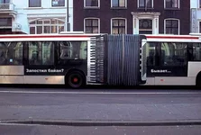 bayan.webp