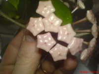 DSC03779.webp