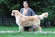 бассейн и Барбариска 032.jpg