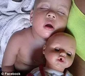 1685610.webp