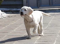 1марта 065.webp