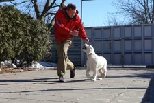 10 марта2011 021.webp