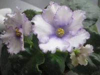 -Хрустальный фонтан_thumb.webp