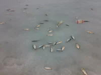 26032011326.webp