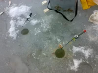 26032011330.webp