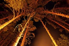 b_post9722019.webp