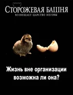 .webp