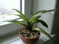 PICT27791.jpg