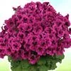 20100416150851_thumb.webp