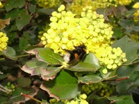 File0000711.jpg