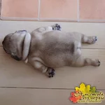D3YUyyd06n0.jpg