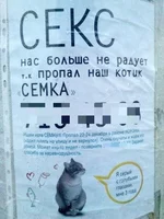 ZM1xpkE5g0A.jpg