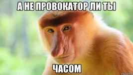 a-ne-pizdish-li-ty-chasom_50059699_orig_.jpg