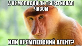 a-ne-pizdish-li-ty-chasom_46244487_orig_.jpg