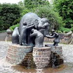 mudretsi_i_slon1.jpg