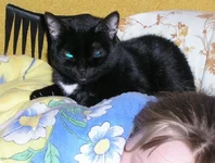 .webp