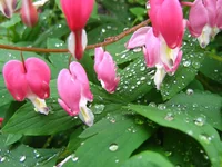 -358л.webp
