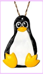 6223.webp
