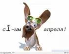 iCAOW119V.webp