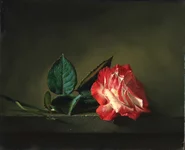 Lonely rose but proud.webp